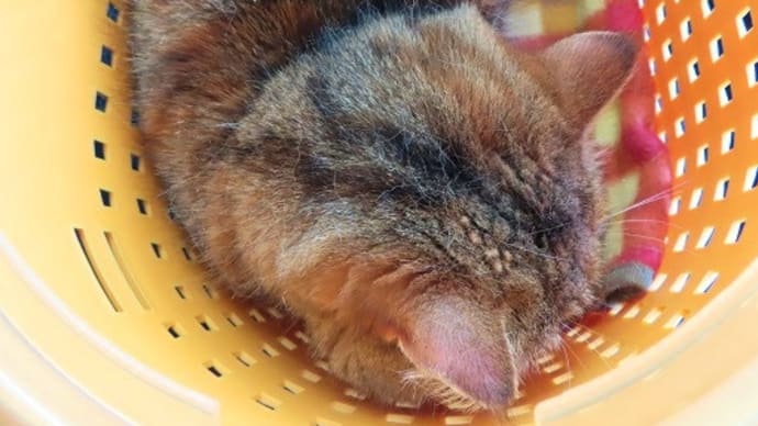 福多ん病院で荒ぶるヽ(`Д´)ノプンプン