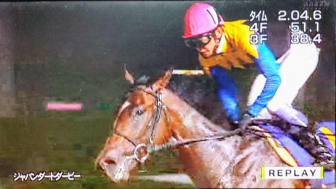 🐴おうまさん(25/2/6) 佐賀記念