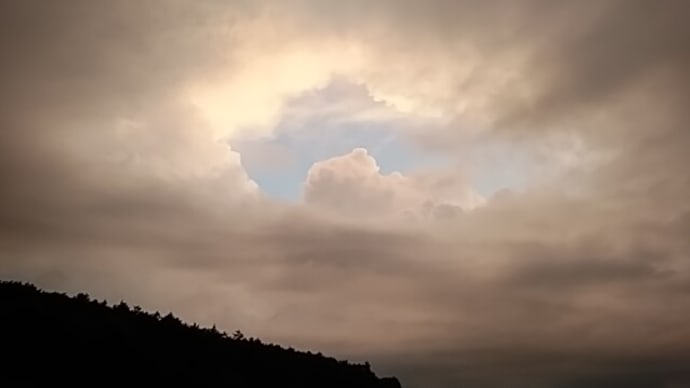 今日のアオツヅラフジ(青葛藤) カワラケツメイ(河原決明) 雷雲