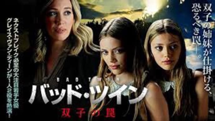 映画「バッドツイン 双子の罠」観ました