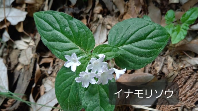 夜型生活者に多い陰虚:睡眠は陰の充電