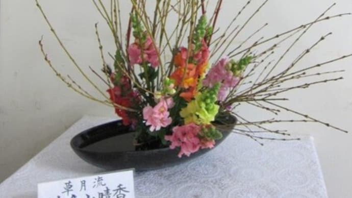 篠窪(しのくぼ)の隣町 草月流 佐久山様が「金魚そう」を生ける(2024/01/31)