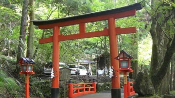 京都妖怪探訪（１３６）：貴船・連理の大杉と思ひ川