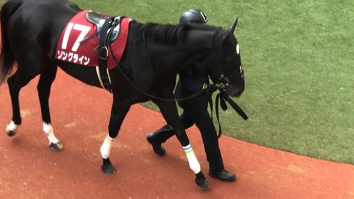 ソングライン、阪神Cは15着。放牧立て直しへ