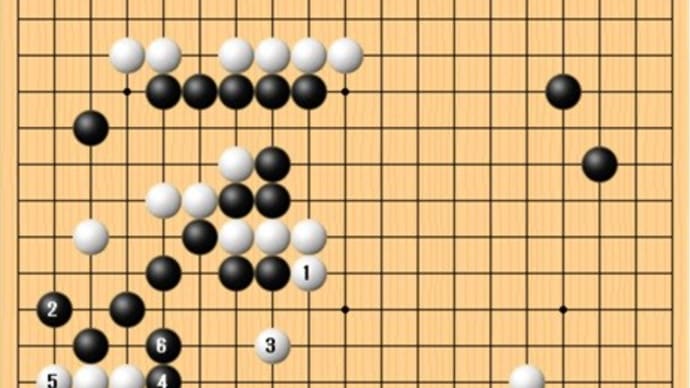  第48期名人戦 第6局１日目