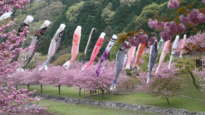 桜の波