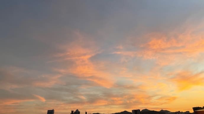 良きかな。良きかな。日曜日。