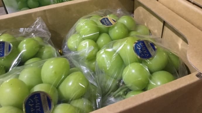 【高松青果】個選相対高値取引 DE㊗️いつも、綺麗なお葡萄様出荷有難うとお礼!(◎_◎;)