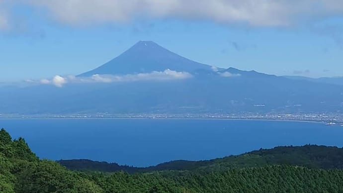 伊豆の絶景【達磨山レストハウス】から見える富士山と海岸線です。