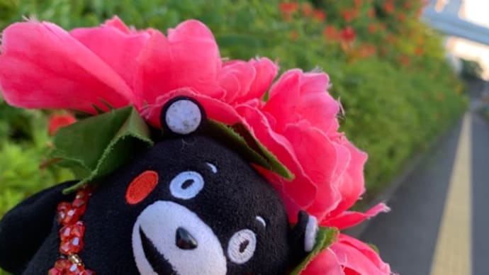 ❤️529❤️ ①東京臨海広域防災公園ヘリポートモンモン❤️
