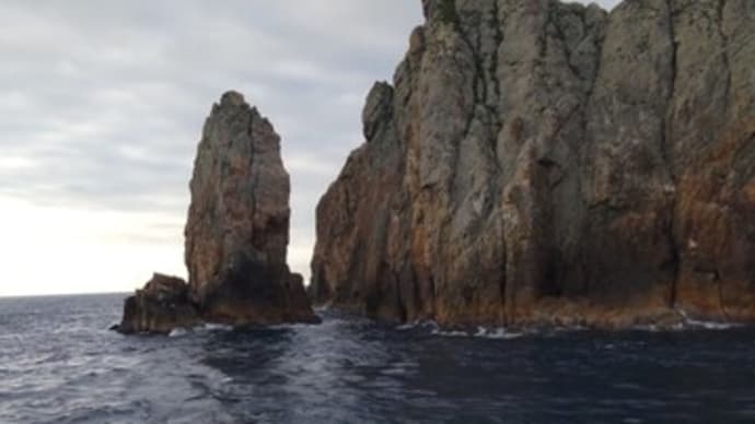 Gooブログ Goo Blog ハッシュタグ 宇治群島 尾長グレ ワカナ サザンクロス