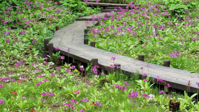 梅雨入りの前に六甲高山植物園に(PartⅡ)