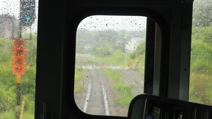 雨の日の115系の車内