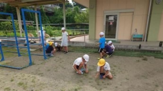 草取り、頑張りました!