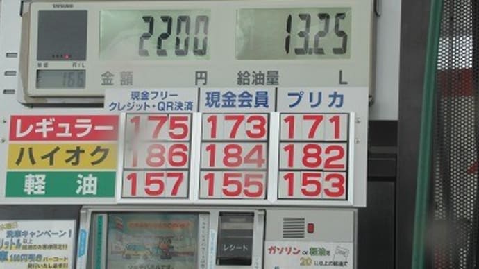 三ノ倉高原菜の花畑