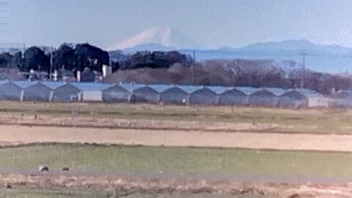 山が良く見えました