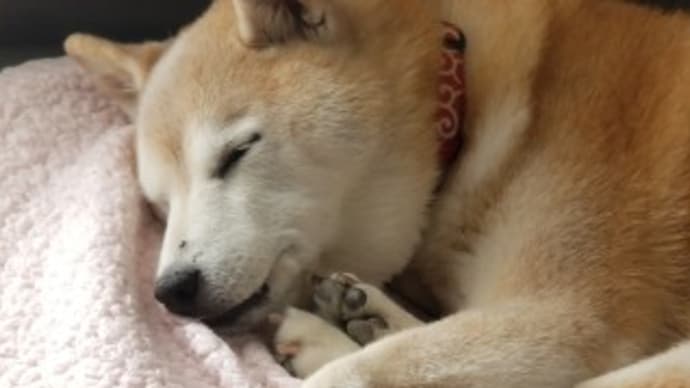 クリンへの想いは尽きなくて・・・89
