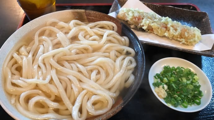 久しぶりのSHIRAKAWAうどん