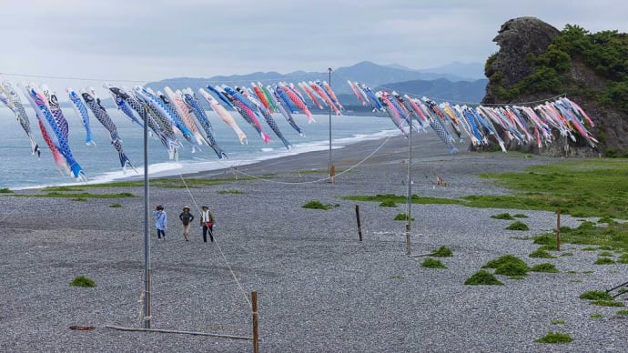 2023.4.29 七里御浜を泳ぐ鯉のぼり(熊野市)