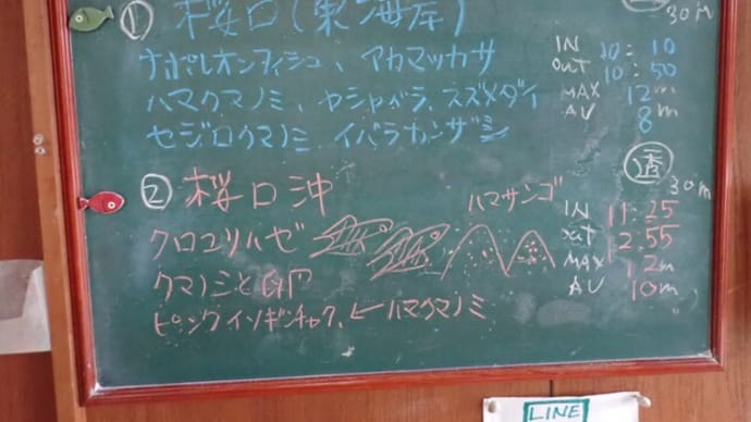 20250208ダイビングログ