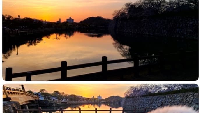 夕焼けと満開の桜と姫路城