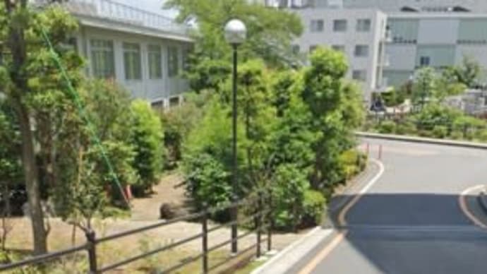 最近自己中さに磨きがかかってきた父に振り回された1日