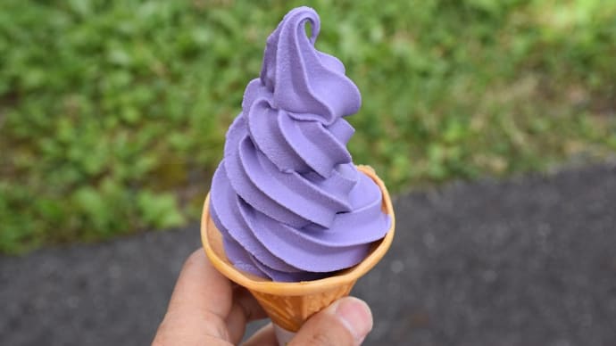 ラベンダー狩り 群馬県沼田市 たんばらラベンダーパーク(14)ラベンダーソフトクリーム