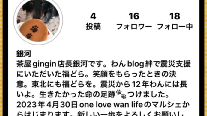 写真入れられないね