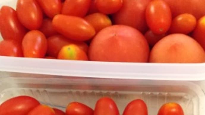 【産地直送】北海道から野菜が届いた!第3弾はアレがまたもや!?