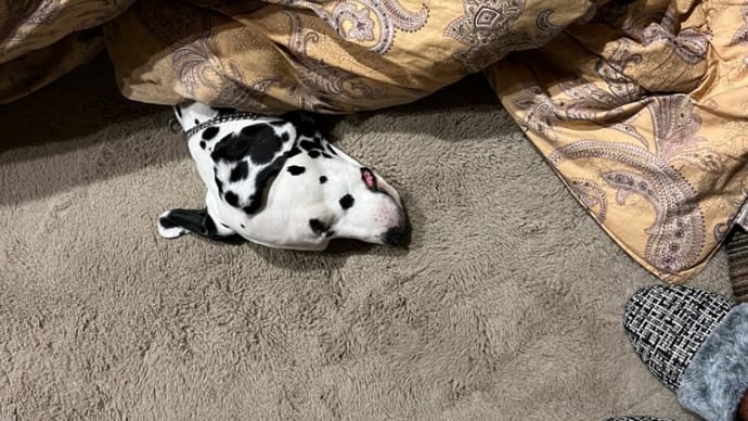 おふとんのおうち