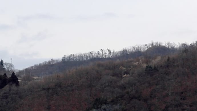山城 尾野山城跡Vol.2