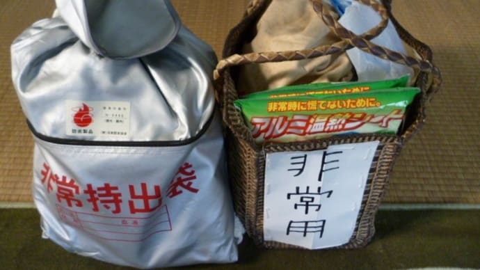 非常用品の見直しをしよう。薬も。