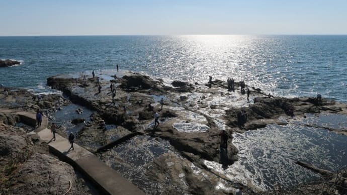 2024.11月 横浜・鎌倉一泊旅⑥~江の島岩屋へ(3)