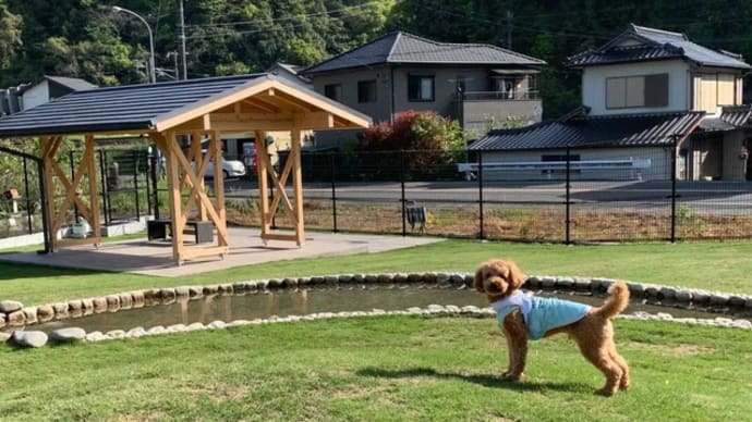 ルイちゃんのドッグラン