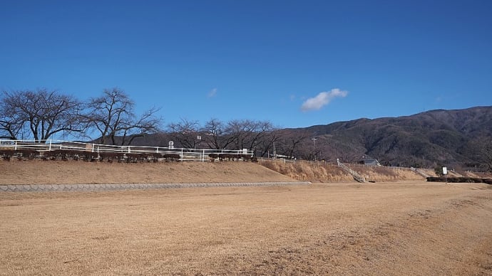 ★冬の河川敷で被写体を探せ 2025