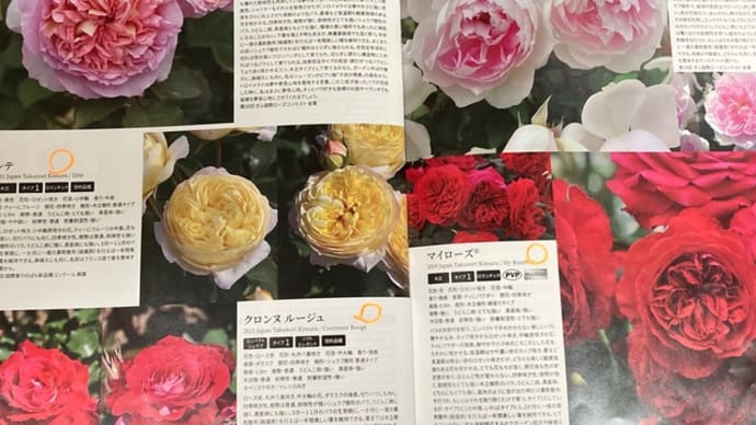 少し前進