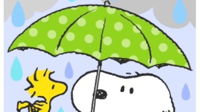 ☔️🌀⤵️💦68.0kg😞