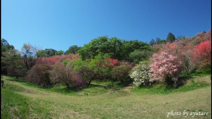 山燃ゆる Ⅱ