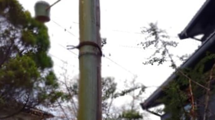 野鳥のエサ場作り