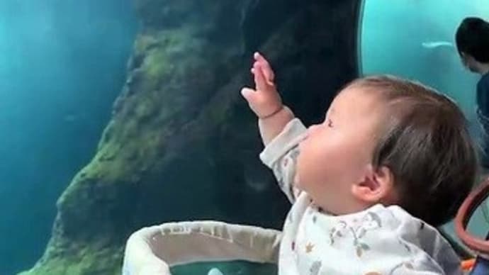 初めての海