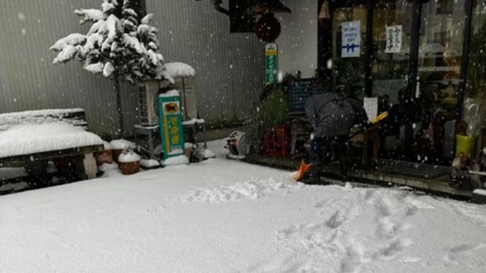人気の地元産ぶどうジュース再入荷です!
