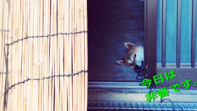 番犬