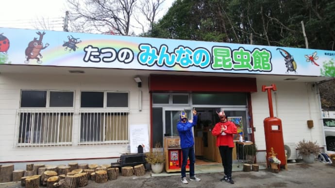 【ご報告】たつのみんなの昆虫館でイベント