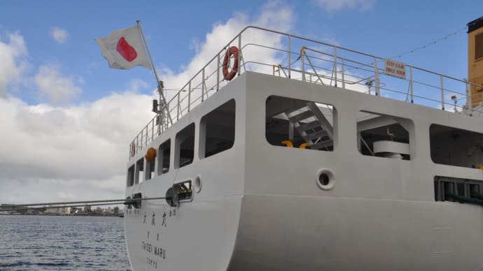 船の船尾・・垂直に切り落とされたようなトランサムスターン transomstern