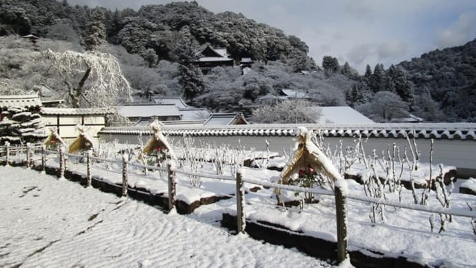 長谷寺の雪景色