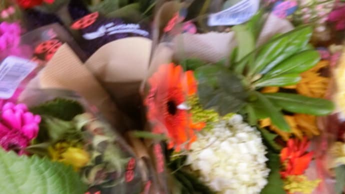 ワクチンの後遺症と漢方薬 インポテンツ(女性の場合は著しい性欲の低下と性交痛)2/2
