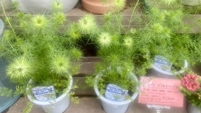 久屋大通庭園フラリエ♪始めて行きました~*\(^o^)/*