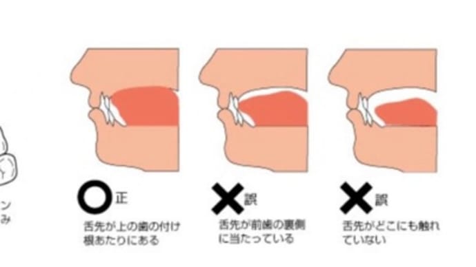 【上咽頭】免疫にとって重要ポイント。ここを鍛えることは結構大事かも。