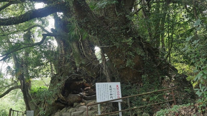 生命の輝き