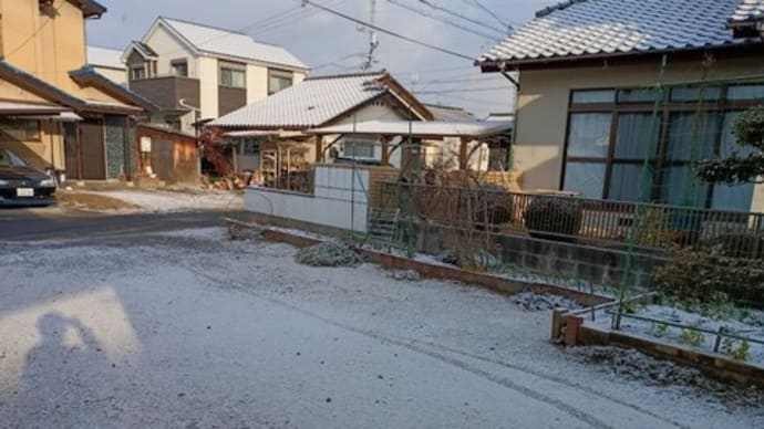 雪が積もったけど。
